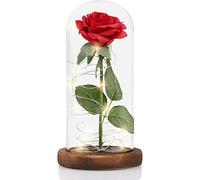 MOOKLIN ROAM Rose Éternelle, La Belle et Bête Rose et Lampe LED avec Dôme en Verre et Base en Bois, Cadeau Surprise pour la Saint-Valentin et Anniversaire de Mariage, Parfaits Décorations - Rouge