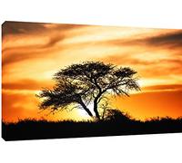 MOOL "Sunset African Plains" Canvas Wall Art Print, Orange, Large, 32 x 22-Inch