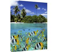 MOOL Toile Murale Motif Coral Reef Art Print, Bleu, Grand, 32 x 56 cm