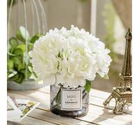 Moomass Artificial Hydrangea and Glass Vase Decoration, Ins Style Artificial Flower Glass Bottle Set