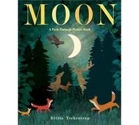 Moon A PeekThrough Picture Book by Britta Teckentrup Britta Teckentrup (Auteur)