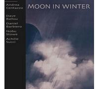 Moon In Winter