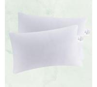 Moon Lot de 2 oreillers de Luxe en Plumes d'oie Oreiller intérieur Environ 30x50-340g, 90% Plumes 10% Duvet avec Dream Pass (Ferme)