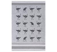 Moon-Luxury Lot de 4 torchons, torchons de Cuisine Environ 50x70 cm en 100% Coton avec Un Motif d'autruche (Anthracite) 4344