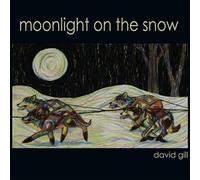 Moonlight on The Snow