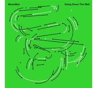 Moonmot - Going Down The Well