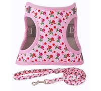 Moonpet Step in Harnais et Laisse pour Chien - Fleur Harnais réfléchissant en Maille rembourrée sans Traction pour Chats Chiots Extra-Petits Petits Moyens et Grands Chiens-Cœur Rose-XXS