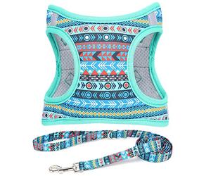 Moonpet Step in Harnais et Laisse pour Chien - Fleur Harnais réfléchissant en Maille rembourrée sans Traction pour Chats Chiots Extra-Petits Petits Moyens et Grands Chiens-Mystère Maya-XXS