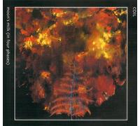 Moon's Milk (In Four Phases)