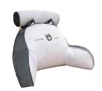 Moonyan Lecture avec Accoudoirs - Lecture avec Traversin Amovible - Repose-Dos 2 en 1 pour S'asseoir dans Le Lit | Confort Et Ergonomie Coussin Cale Dos Canapé