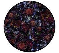 MOOOI CARPETS tapis FOOL'S PARADISE ROUND Signature collection (Ø 350 cm - Polyamide à poils bas)