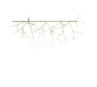 Moooi Heracleum Endless Suspension LED