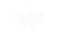 Moooi Heracleum III Grande Suspension Blanche