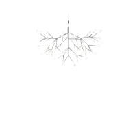 Moooi Heracleum III Suspension Grand Nickel