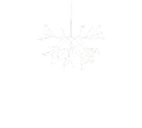 Moooi Heracleum III Suspension Petit Blanc