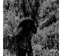 Moor Mother - Analog Fluids of Sonic Black Holes (Vinyl Gray EDT.) [Import]