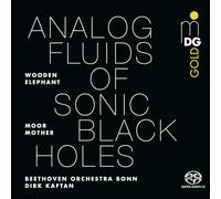 Moor Mother, Wooden Elephant, Beethoven Orchester Bonn, Dirk Kaftan - Analog Fluids Of Sonic Black Holes