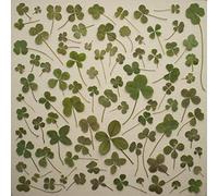 Moore, Daniel Martin - Turned Over to Dreams