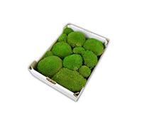 Moos-Design Boules de mousse - Mousses boules préservées - Pour la décoration de Pâques, de printemps, d'automne, de Noël, d'hiver, de plantes - Décoration végétale