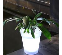 MOOUK Pot de Fleur Illuminé avec Éclairage Solaire LED - Vase Transparent Décoratif Moderne pour Plantes - Lampe Paysage pour Bureau, Jardin, Cour - Blanc, Taille Unique