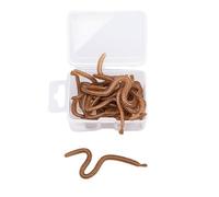 mophrati 16 pièces appâts de Poisson pour Sauvage étanche ver leurres Eau Douce réaliste Odeur de Poisson Simulation vers Terre vers pour l'extérieur