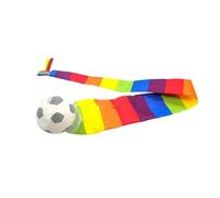 mophrati Balle Arc-en-Ciel avec Queue : Un Jeu d'intérieur et d'extérieur passionnant ! Amusez-Vous en Toute liberté avec Cette Balle météore Arc-en-Ciel colorée à Queue, idéale comme Cadeau pour Les