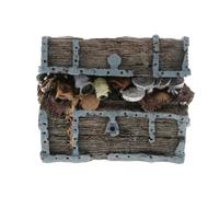 mophrati Décoration d'aquarium en Forme de Coffre au trésor, Aspect Naturel, idéale pour Le Bien-être des Poissons et des Plantes. Fabriquée en résine sans Danger pour Ces Animaux. Conçue avec