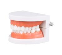 mophrati Enfants Jouets éducatifs Simulation brossage des Dents Parent-Enfant Enseignant Aides pédagogiques Soins de santé école Maternelle