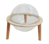 mophrati Hamac spacieux pour Chats d'intérieur, conçu pour Jouer, se et Dormir. Ce hamac-nid de qualité supérieure pour Chatons est conçu comme Une sphère Transparente.