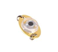 mophrati Lampe de pêche en Profondeur Polyvalente, utilisable comme Lampe de leurre indicateur, complément idéal pour Toute expédition de pêche en Eau Profonde. Feux