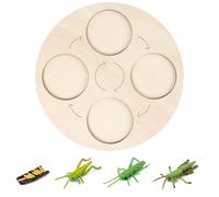 mophrati Simulation Insectes modèle de Croissance éducation drôle Accessoires d'enseignement Imagination Cognition Jouets Accessoires pour Enfants, Tapez 5
