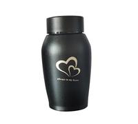 mophrati Urne funéraire Portable en Acier Inoxydable pour Chatons et Chiens - Solution de Conservation des Cendres pour Animaux de Compagnie - Urne funéraire pour Chats et Chiens - Crémation Chatons