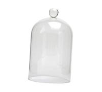 mophrati Vitrine élégante à Poser soi-même pour créer des compositions Florales Uniques et des Fleurs éternelles. Lampe à Fleurs éternelles Portable, Transparent, M