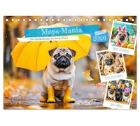 Mops-Mania - Der Spaßkalender für Mops-Fans (Tischkalender 2026 DIN A5 quer), CALVENDO Monatskalender: Lustige Bilder vom Mops-Hund für gute Laune