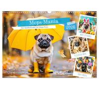 Mops-Mania - Der Spaßkalender für Mops-Fans (Wandkalender 2026 DIN A3 quer), CALVENDO Monatskalender: Lustige Bilder vom Mops-Hund für gute Laune