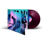 Nothing But Thieves – Moral Panic – Vinyle 2 LP – Édition complète – Import RCA