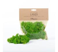 Moranduzzo - Sachet Lichen Vert Stabilisé 50g - Artisanat Made in Italy - Accessoires et Matériaux pour Réaliser une Crèche Traditionnelle