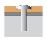 MORAVIA MORION Miroir de justice 500 x 250 mm en acier inoxydable revêtu Quantité:1