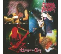 Morbid Angel - Entangled in Chaos [] [Import Allemand]
