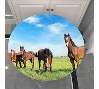Morbuy 3D Cheval Rondes Nappes avec Bord Élastique, Nappes Rondes Anti Taches Lavable, Imperméable Polyester Nappe de Table Imprimé de Animal pour Cuisine Jardin Fête Table (l'herbe Verte,120cm)