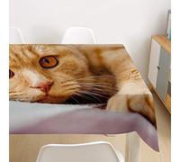 Morbuy 3D Nappe Rectangulaire Chat Imprimé Anti Tache Nappe de Table Imperméable Lavable et Facile d'entretien pour Ménage Table Basse Jardin Extérieure Picnic (Chat Orange,140x140cm)