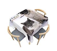 Morbuy Nappe pour Table de Cuisine Carré, Motif Chien Carlin Nappes Imperméables Anti Tache Infroissable Nappe Lavable pour Salle à Manger Jardin Picnic Exterieur (100x100cm,Chat Gris)