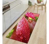 Morbuy Paillasson Bienvenue Tapis d'Entrée Plantes et Fleurs en 3D Tapis de Bain Antidérapant Tapis de Sol, Tapis Antidérapant pour Salon,Chambre à Coucher,Cuisine (Feuilles Rouges,50x80cm)