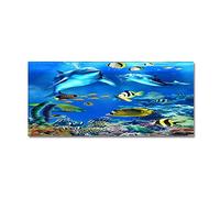 Morbuy Paillasson Bienvenue Tapis d'Entrée Poisson de Mer 3D Tapis de Bain Antidérapant Tapis de Sol,Tapis Antidérapant pour Salon,Chambre à Coucher,Couloir,Cuisine (Dauphin Bleu,40x60cm)