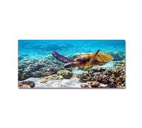 Morbuy Paillasson Bienvenue Tapis d'Entrée Tortue de Mer 3D Tapis de Bain Antidérapant Tapis de Sol,Tapis Antidérapant pour Salon,Chambre à Coucher,Cuisine,Couloir (50x160cm,Fond Marin)