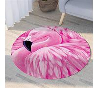Morbuy Tapis Rond Lavable en Machine, Impression Peinte Interieur Anti Slip Chambre à Coucher Salon Tapis d'Entrée Absorbant Antidérapant (Flamant Rose,120cm)