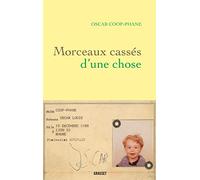 Morceaux cassés d'une chose
