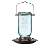 More Birds Hummingbird Feeder, Glass Hummingbird Feeders, 5 Stations d'alimentation, capacité Nectar 25 Ounce, Mason Jar