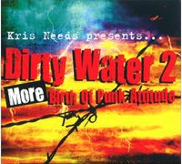 More Birth of Punk Attitude