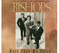 More Than My Voice [CD]